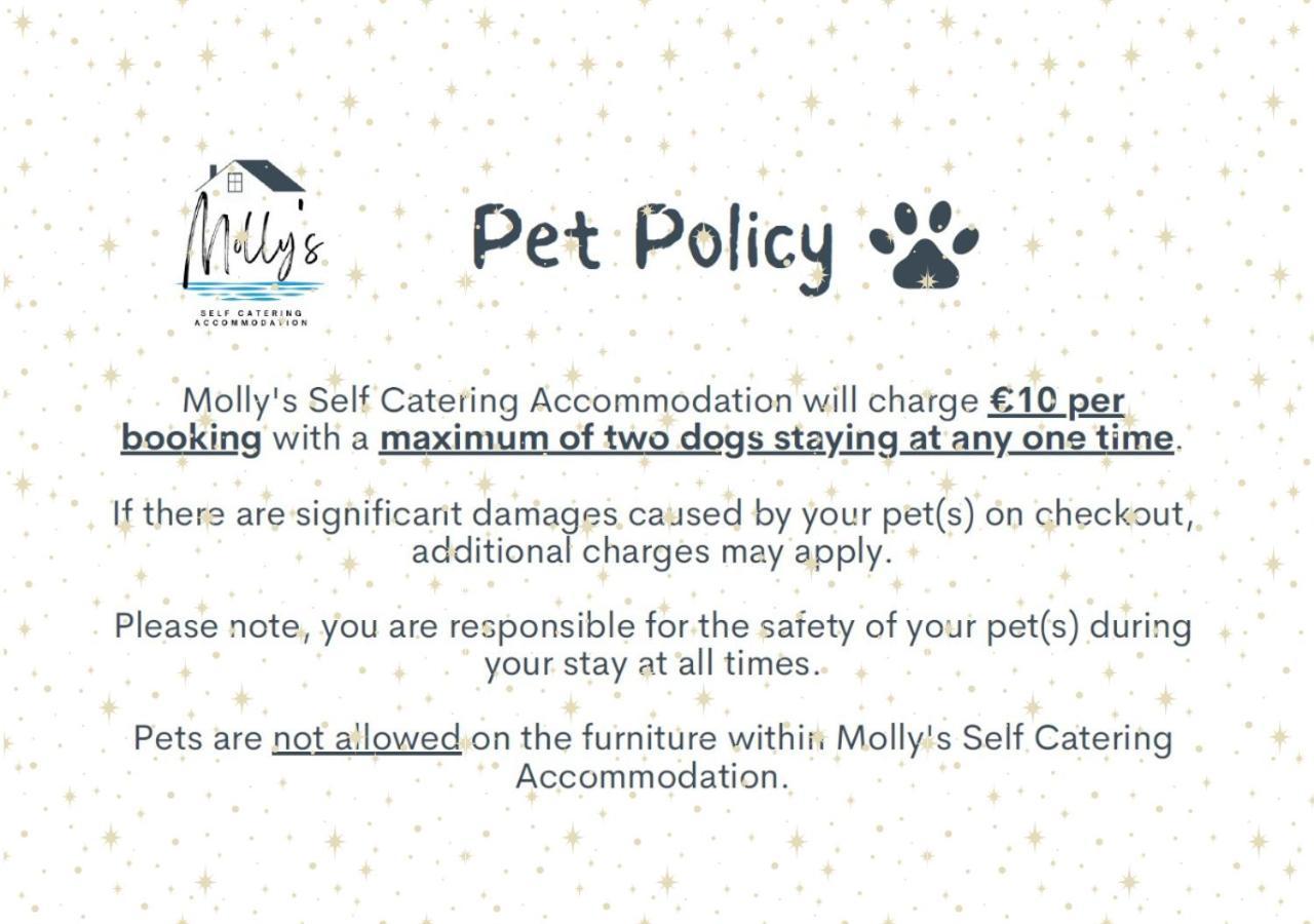 Molly'S Self Catering Accommodation 卡文 外观 照片